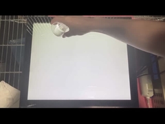 19 pulgadas de PCAP pantalla táctil con las funciones a prueba de agua y vandalismo