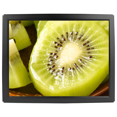 420cd/m2 LCD Panel 15" Touch Screen Monitor With VGA DVI Video Input